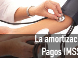 Cálculo amortización IMSS