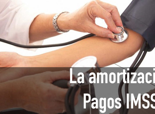 Cálculo amortización IMSS