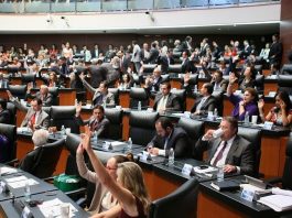 Senado Delincuencia Organizada