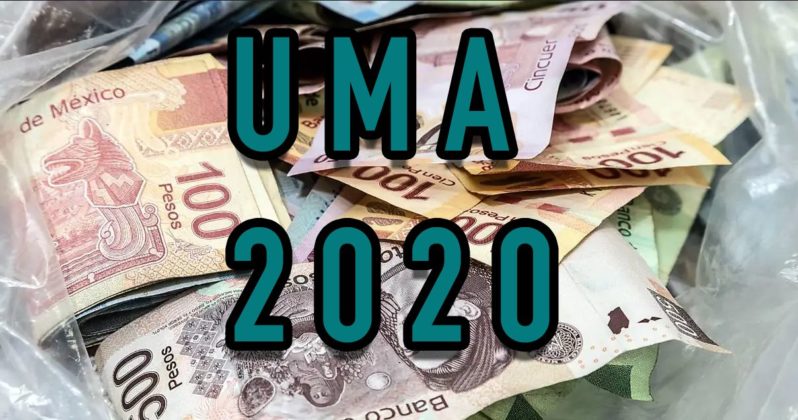 UMA 2020 (Unidad De Medida Y Actualización) - Contador Contado